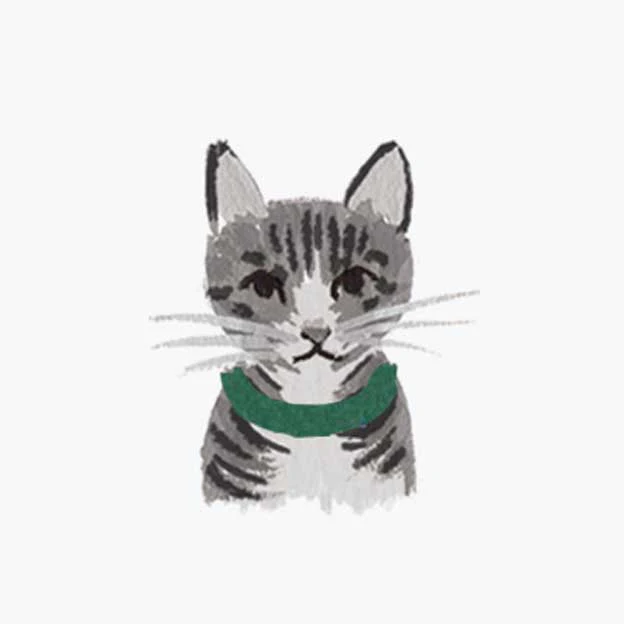 Pets Personalized Stationery - Cat 5