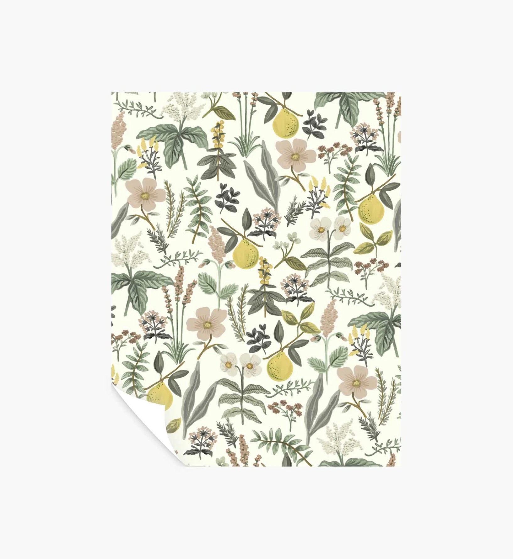 Herb Garden Peel & Stick Wallpaper Sample - Cream