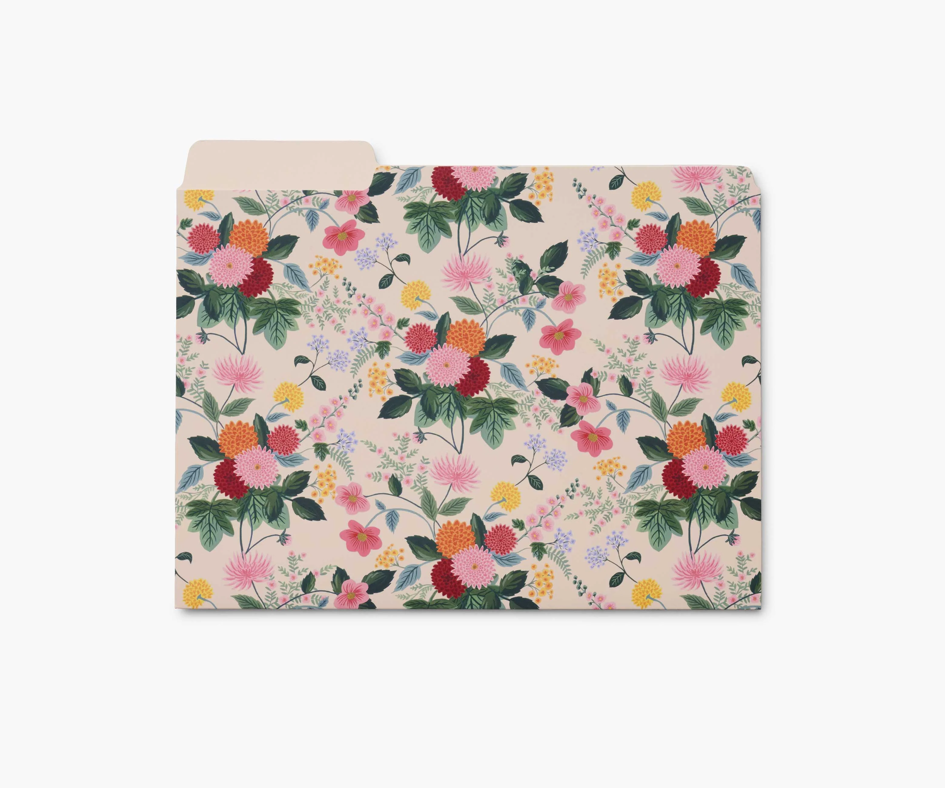Assorted File Folders - Dahlia