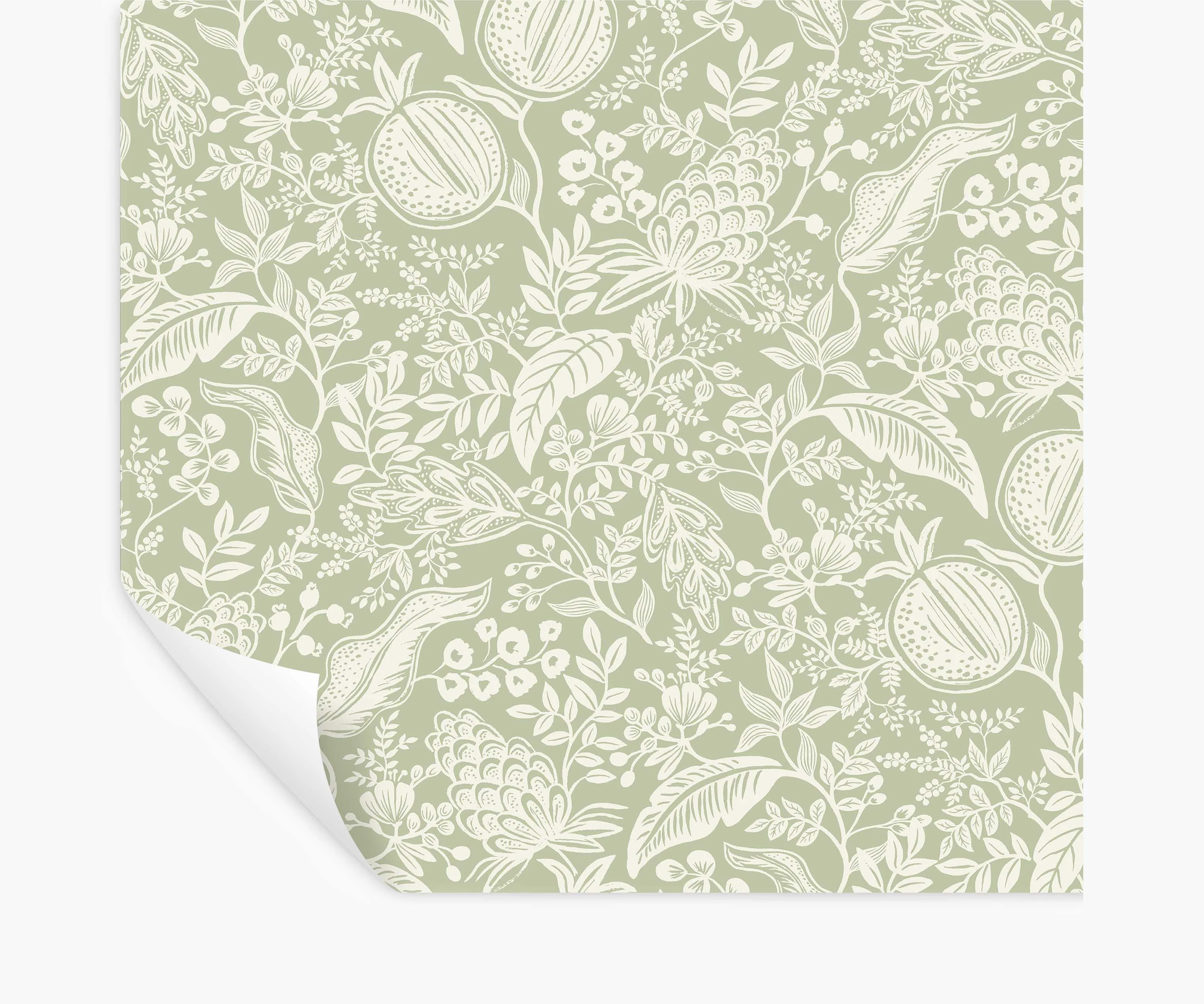 Pomegranate Peel & Stick Wallpaper - Pistachio & White