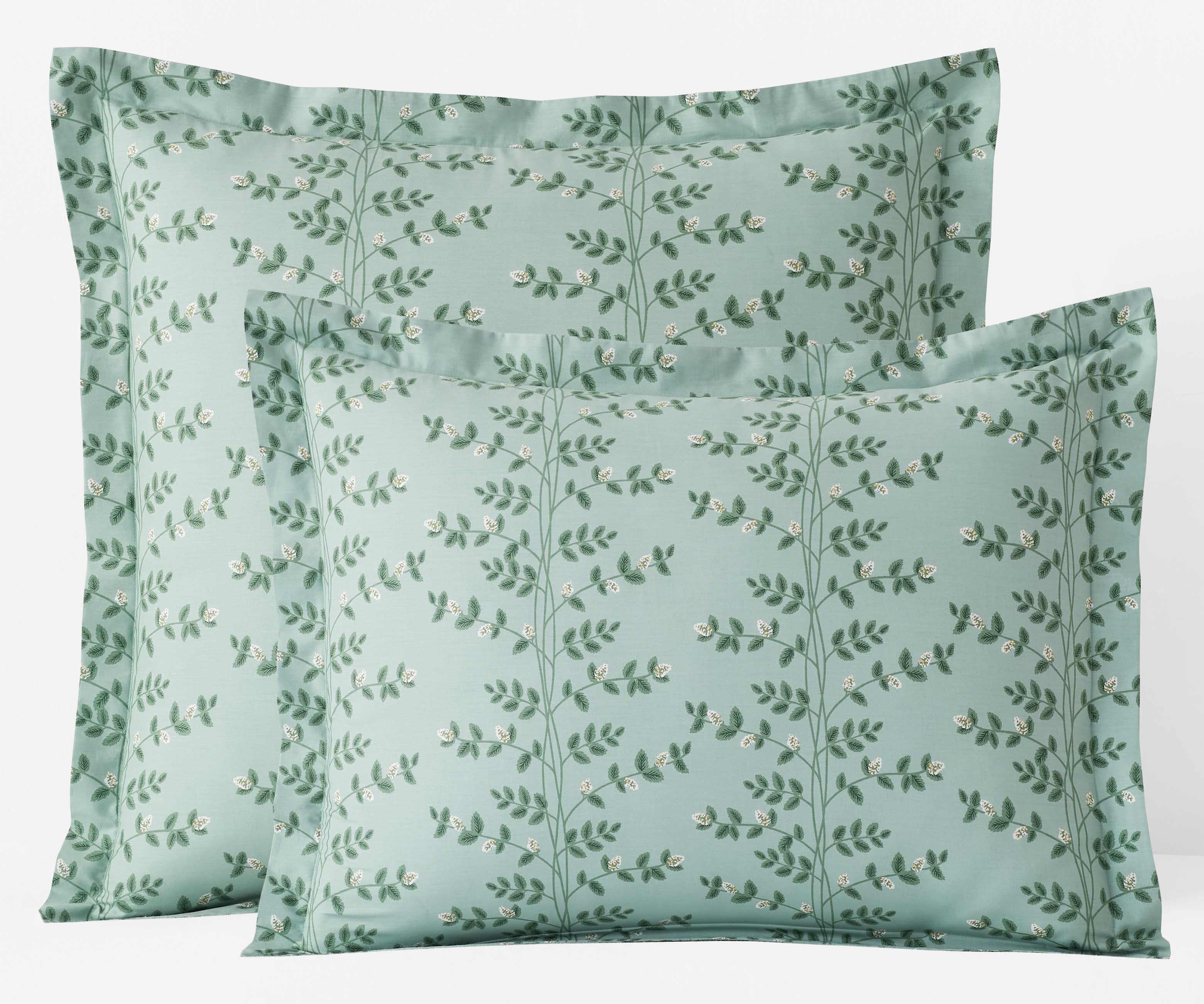 Percale Sham - Climbing Vines Sage