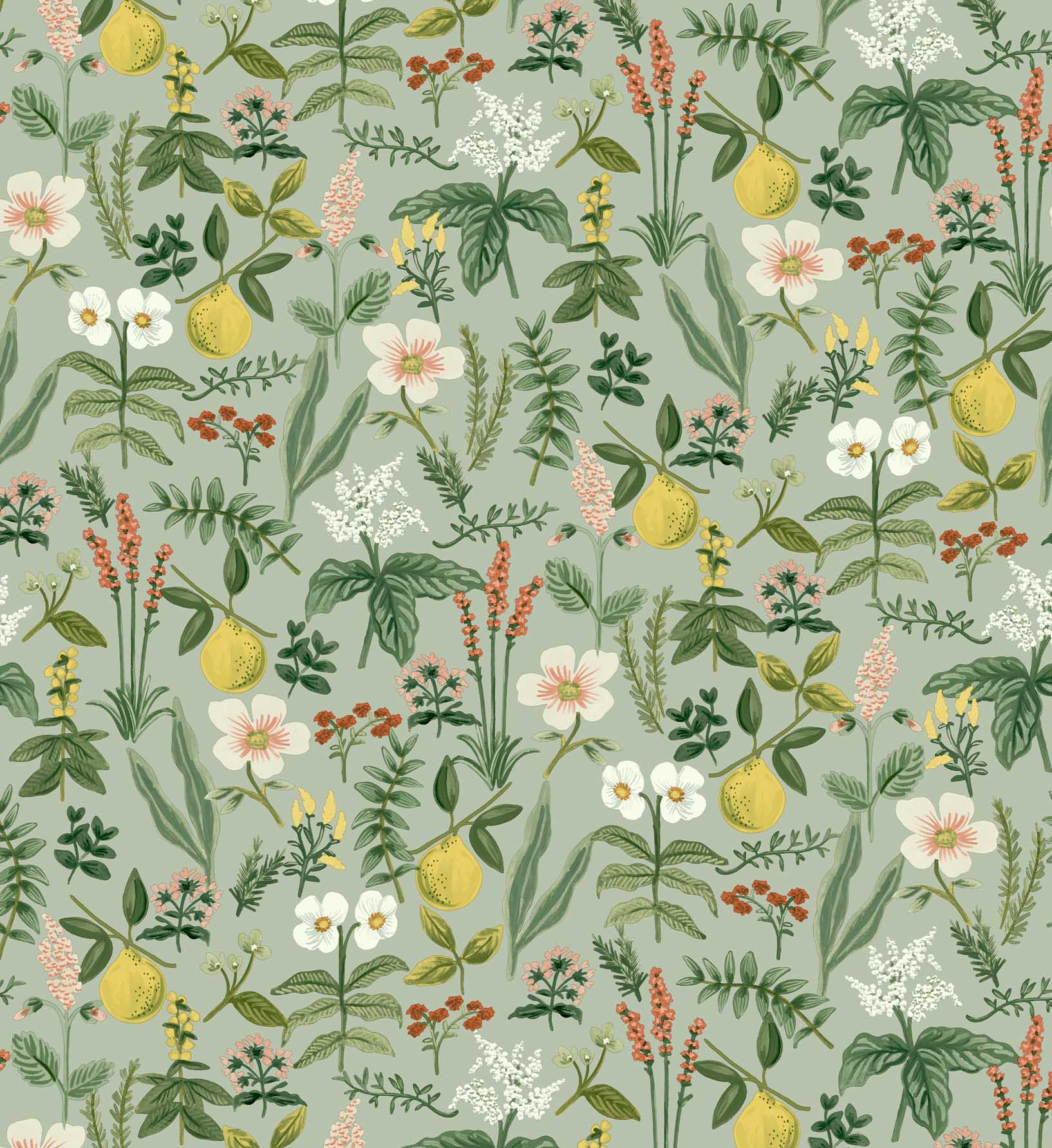 Herb Garden Peel & Stick Wallpaper Sample - Sage