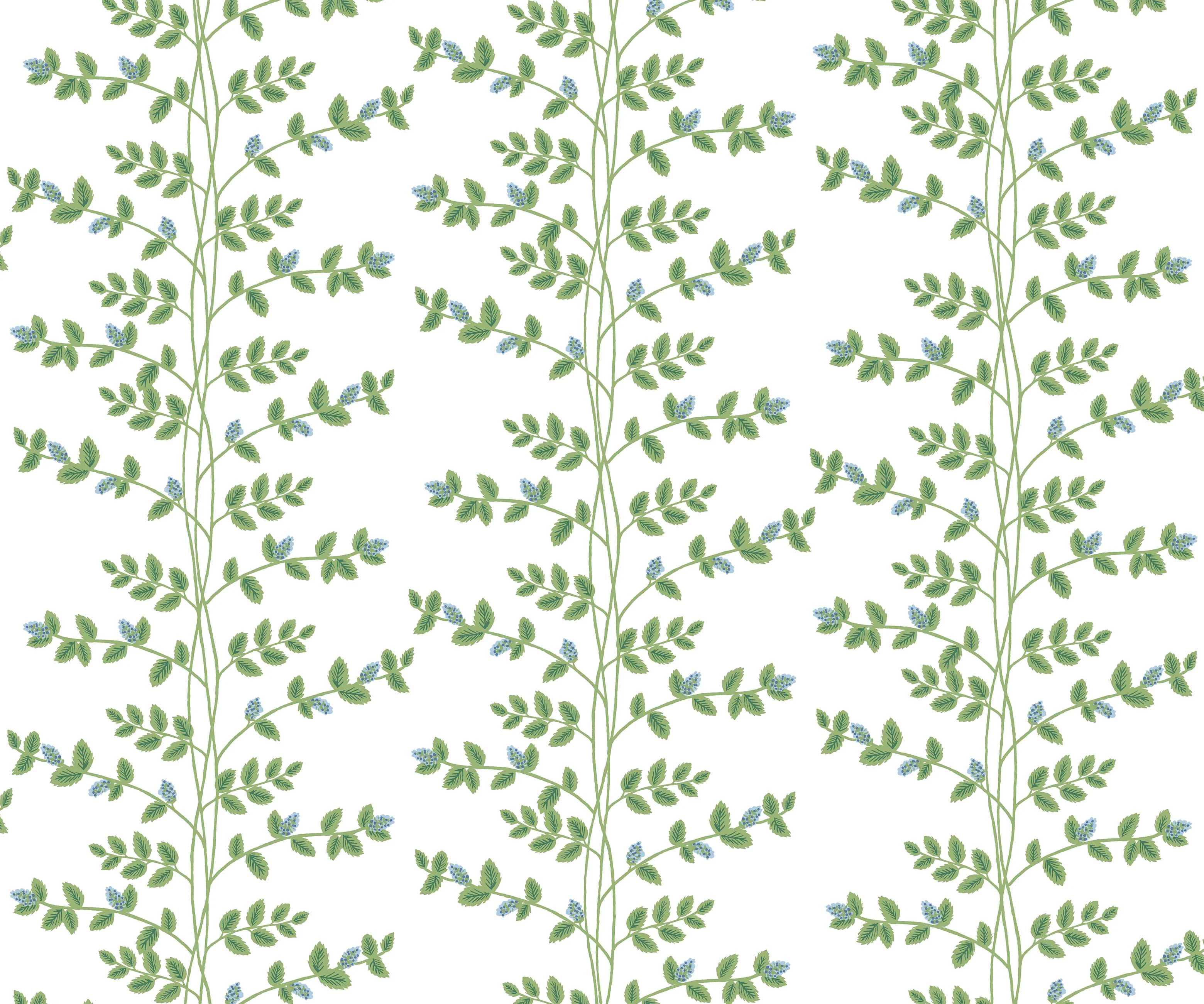 Climbing Vines Wallpaper - White & Blue