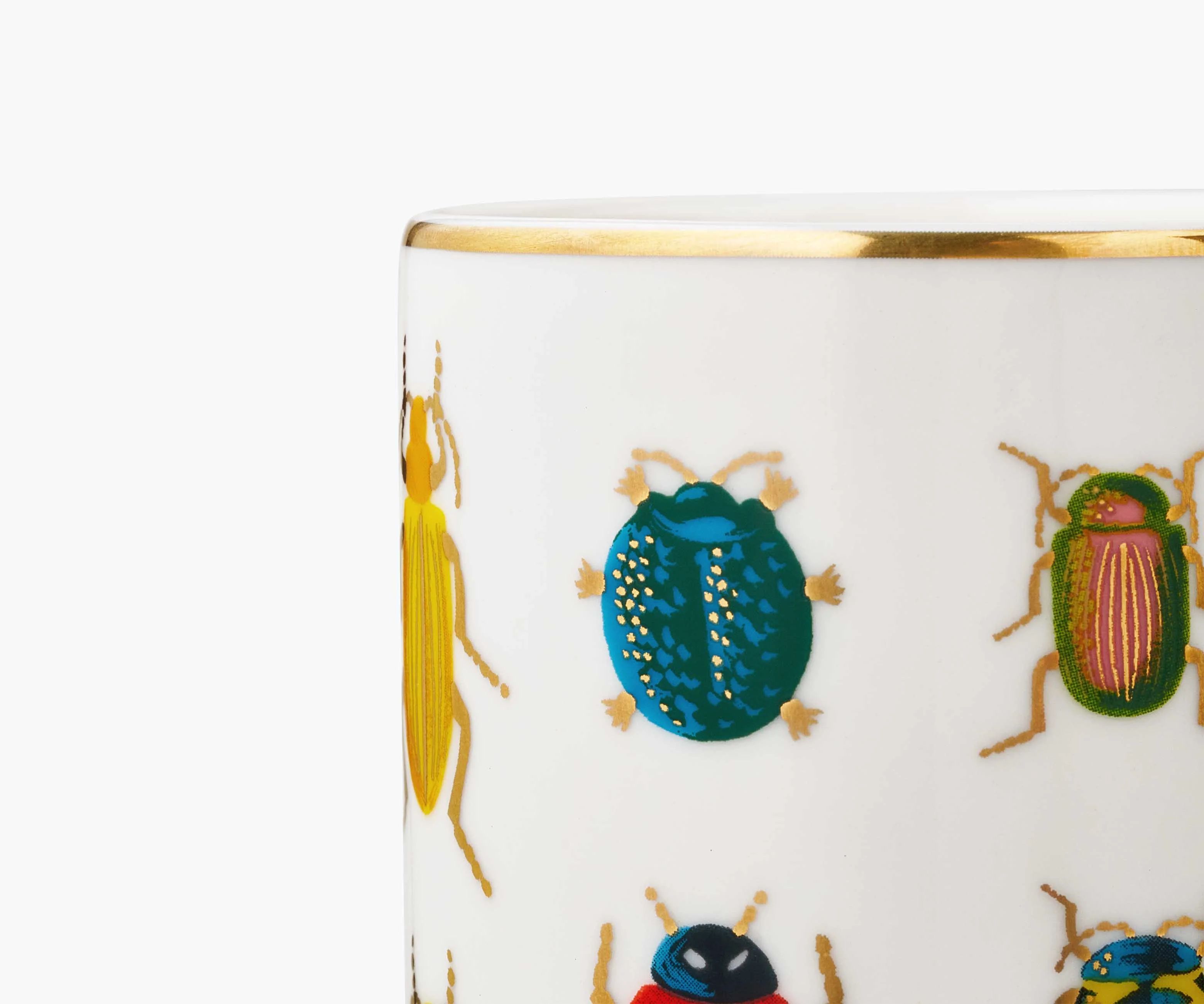 Porcelain Vase - Beetles & Bugs